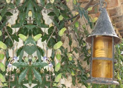 Mas Bella Cortis Acomodação com café da manhã La Garde-Adhémar Exterior foto