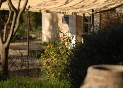 Mas Bella Cortis Acomodação com café da manhã La Garde-Adhémar Exterior foto